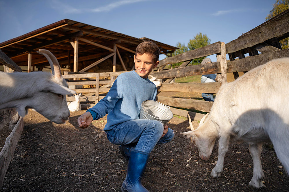 Small Animal Therapy