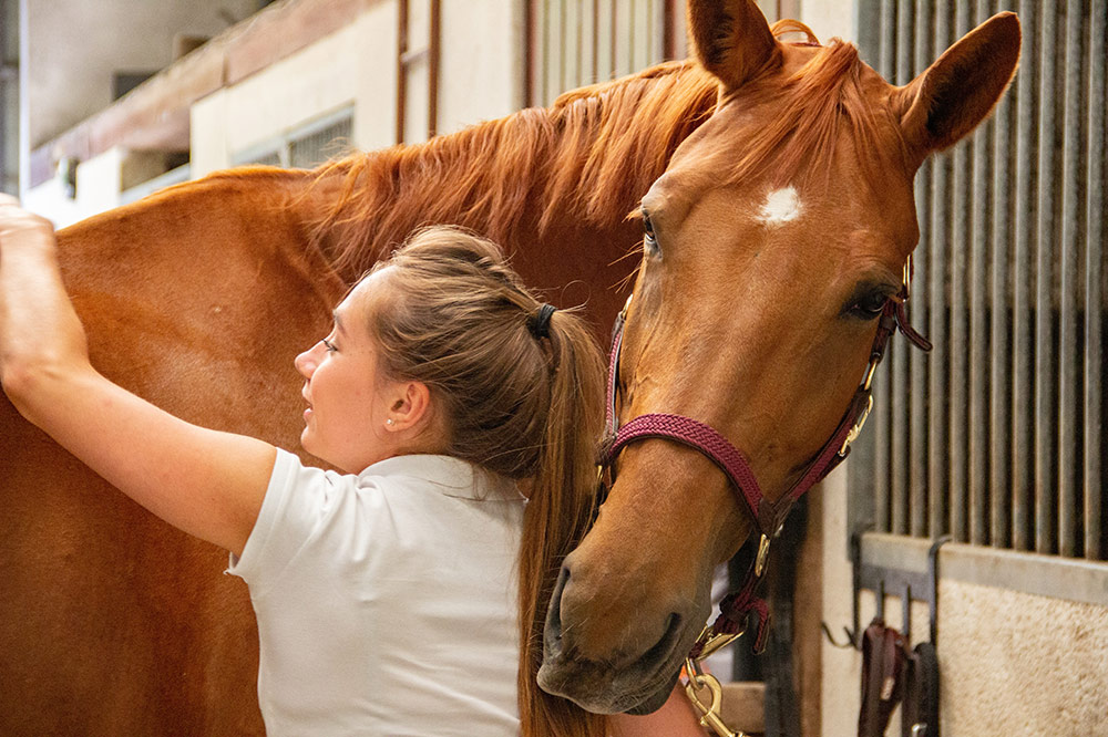 Horse Whispering and Equine Assisted Therapy